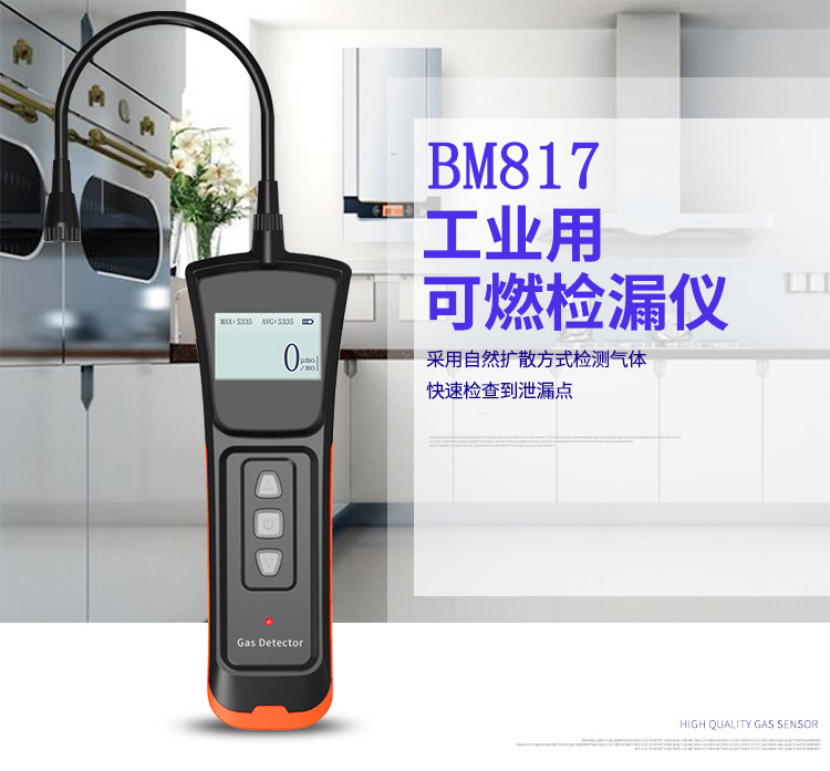 便携式气体检漏仪BM817